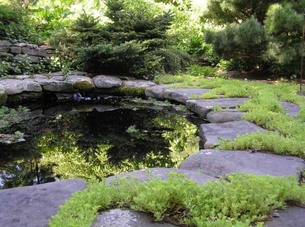 Landscaping & Hardscape