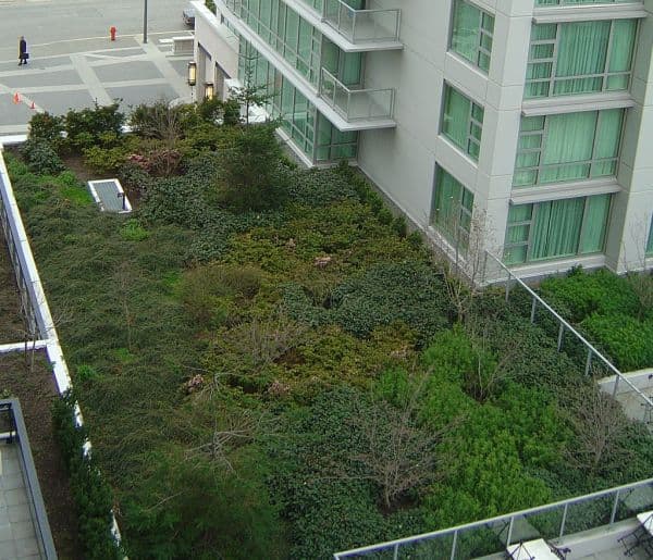Introduction to Green Building & Sustainability
